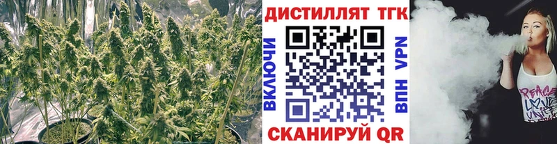 ТГК концентрат  купить закладку  Орлов 