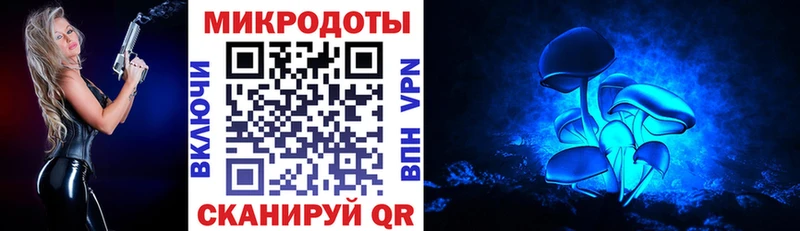 Псилоцибиновые грибы Cubensis  omg рабочий сайт  Орлов  цены наркотик 